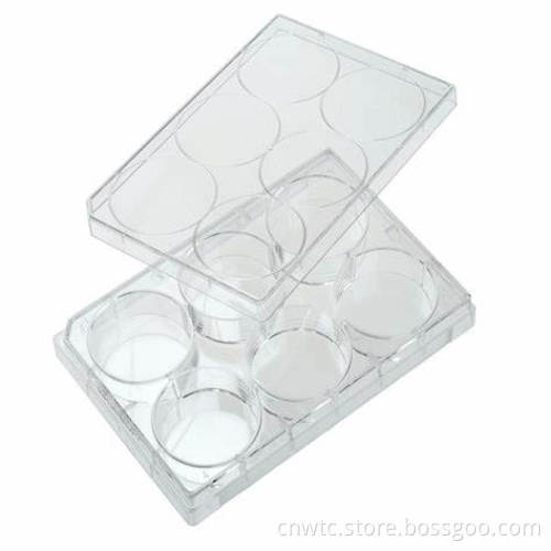 PS 6 Holes Laboratory Tissue Culture Plate